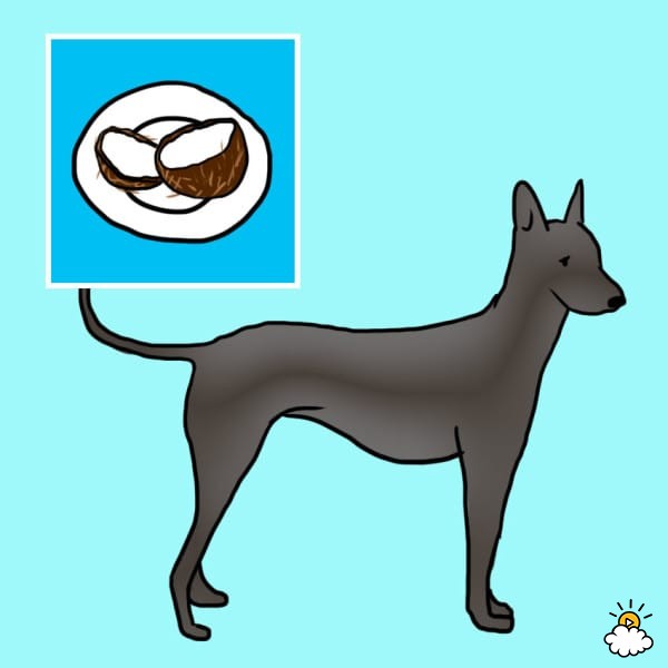 embeddedIMG_thehealthiestfoodsyoucangiveyourdog_850px_10-600x600