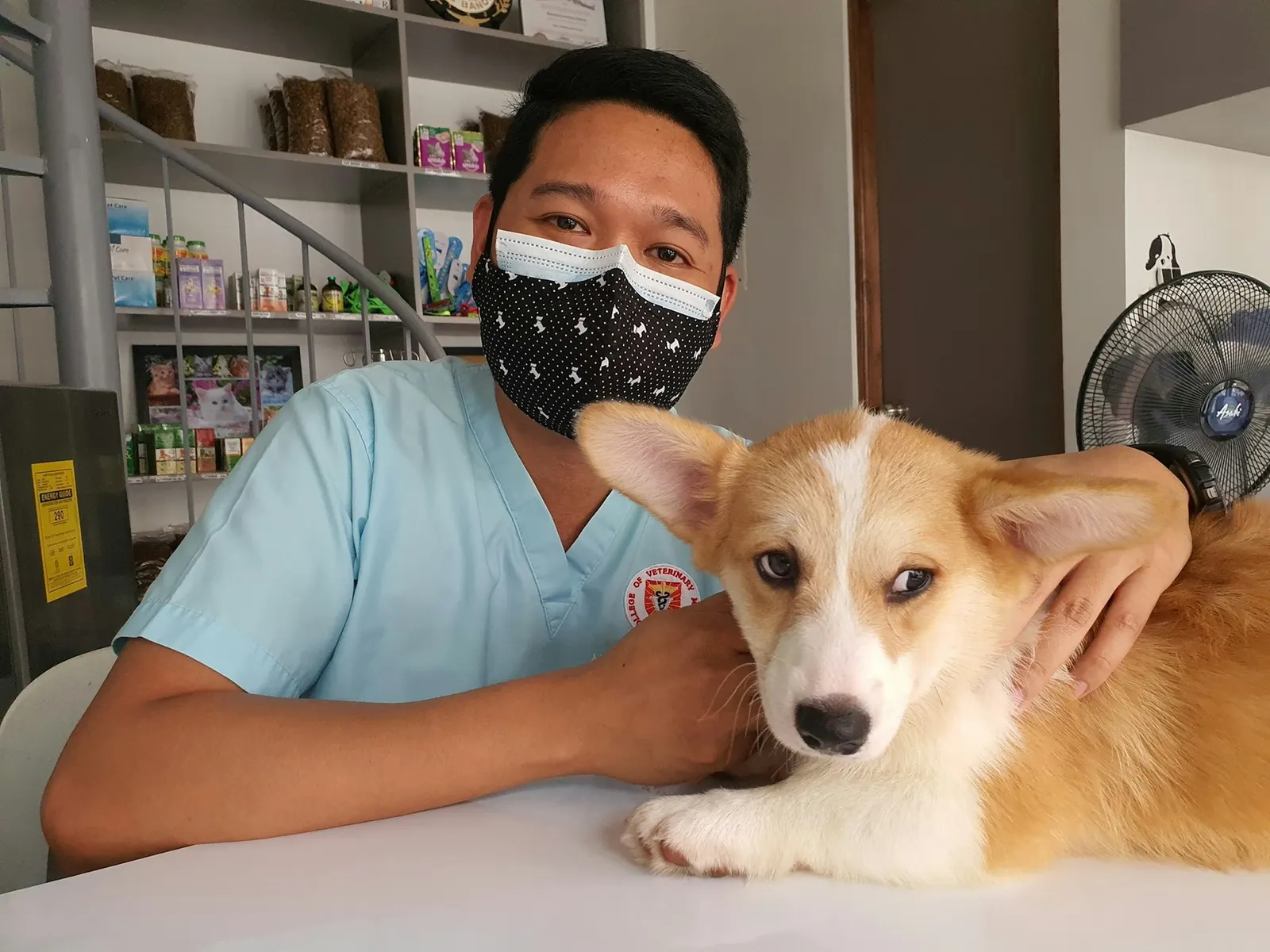 Klinik veterinar Subang Jaya & USJ (2026)