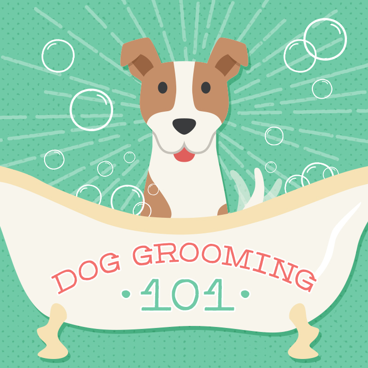 You know it’s time for a dog grooming appointment when…