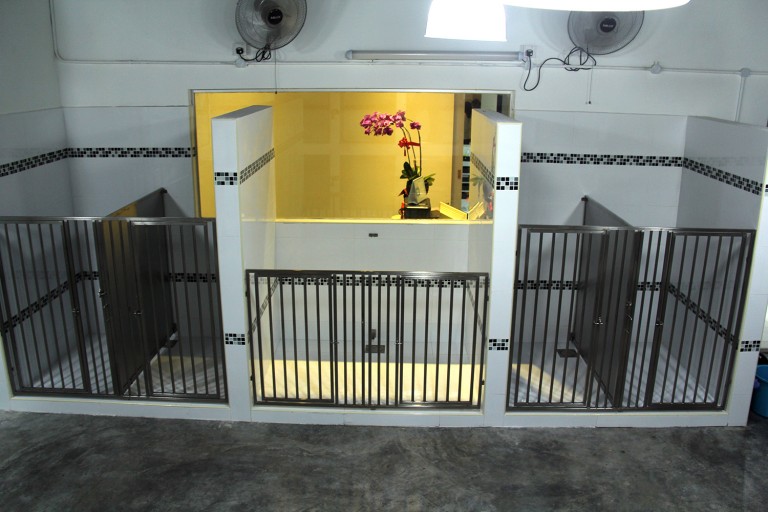 IMG_9005 PGH Pets Grooming Hotel