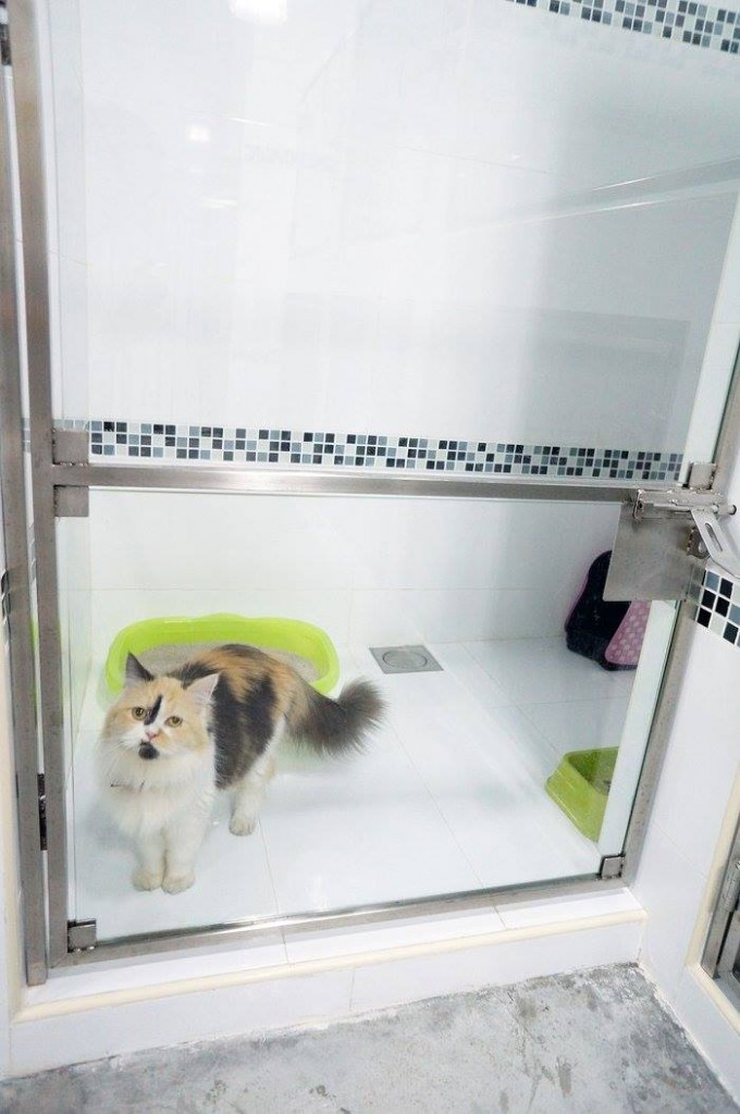 13502586_1784525378500664_8318845662608899458_o PGH Pets Grooming Hotel